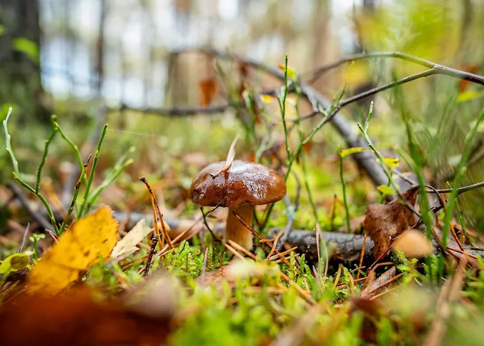 Agroturystyka Nad Warta