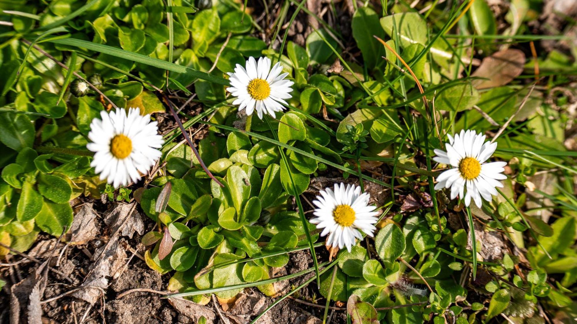 Farm stay Nad Warta Skwierzyna